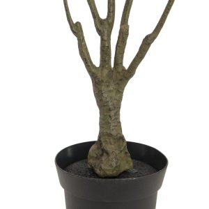 EUROPALMS Dracena, künstlich, grün-rot,  90cm