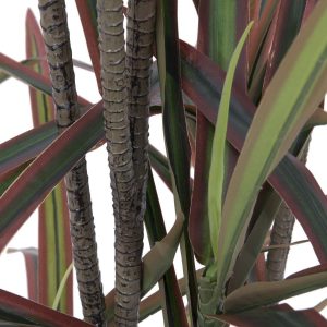 EUROPALMS Dracaena, künstlich, grün-rot, 180cm