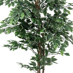 EUROPALMS Silberficus-Benjamini, Kunstpflanze,  180cm