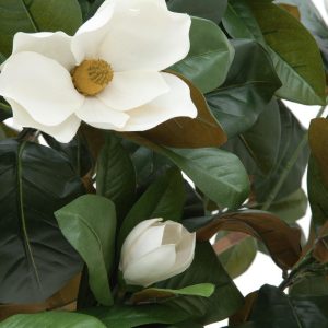 EUROPALMS Magnolienbaum, Kunstpflanze, 150cm