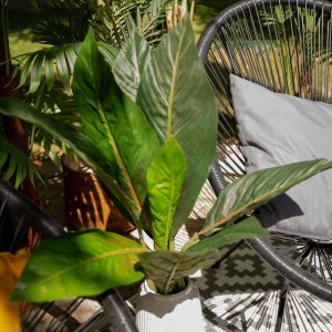 EUROPALMS Mangoldbusch, künstlich,  45cm