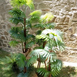 EUROPALMS Fächerpalme, Kunstpflanze, 130cm