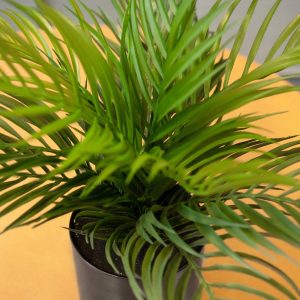 EUROPALMS Goldfruchtpalme, Kunstpflanze, 46 cm