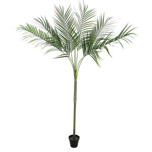 EUROPALMS Areca deluxe, Kunstpflanze, 180cm