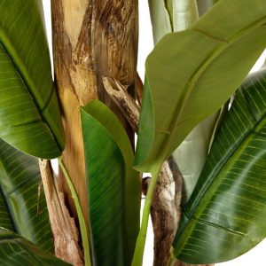 EUROPALMS Bananenbaum, Kunstpflanze, 240cm