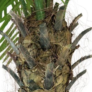 EUROPALMS Phönixpalme luxor, Kunstpflanze, 300cm