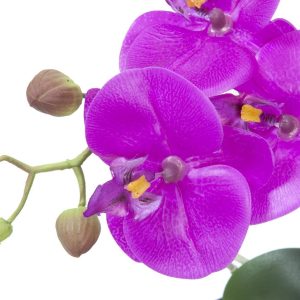 EUROPALMS Orchideen-Arrangement 4, künstlich