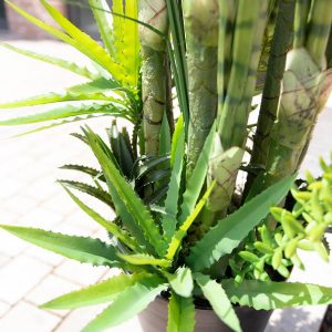 EUROPALMS Sukkulenten-Mix, Kunstpflanze, 190cm