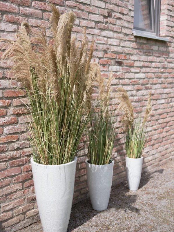 EUROPALMS Chinaschilf Gracillimus, künstlich, 110cm