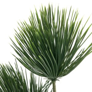 EUROPALMS Papyrus, Kunstpflanze, 100cm