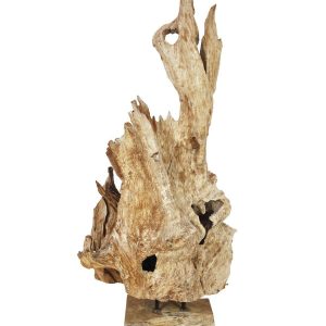 EUROPALMS Wurzelobjekt Teak natur 160cm