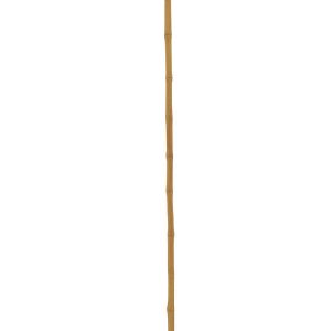 EUROPALMS Bambusrohr, Ø=3cm, 200cm