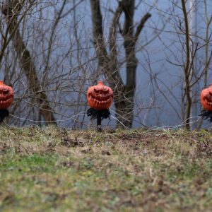 EUROPALMS Halloween Kürbisse mit Erdspieß, 3er-Set, 39cm
