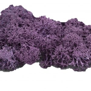 Muwse Islandmoos Flieder 10 g händisch gerupft Osternest Weihnachtskrippe