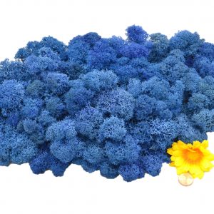Muwse Islandmoos Blau 100 g Basteln Wandbilder Dekoration Gestalten
