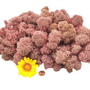 Muwse Islandmoos Rosa 100 g Basteln Wandbilder Dekoration Gestalten