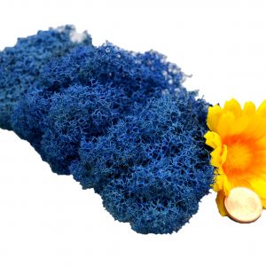 Muwse Islandmoos Blau 10 g Basteln Wandbilder Dekoration Gestalten