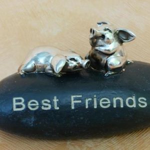 Schweinchen Best Friends